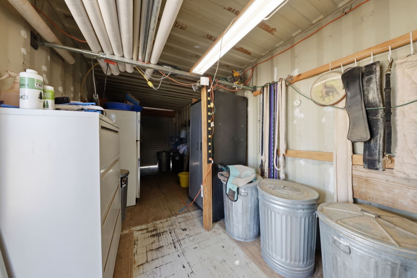 Sandy Valley property photo 30